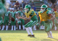 Green & White 2018